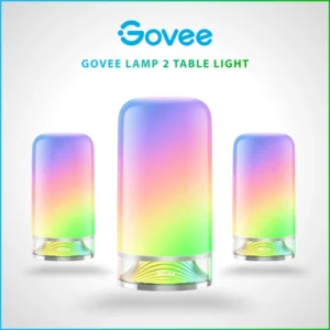 GOVEE LAMP 2 TABLE LIGHT
